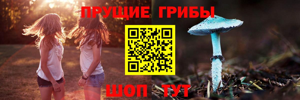 продажа наркотиков  Галлюциногенные грибы Psilocybine cubensis  Галлюциногенные грибы прущие грибы  Вход с VPN  Сегежа 